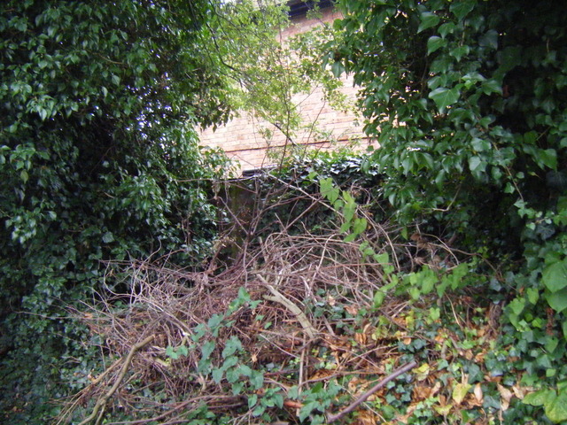 dscf2124.jpg